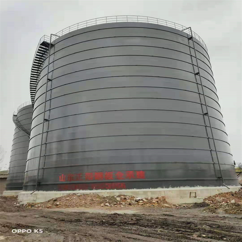 吊罗山乡3万吨大型钢板库