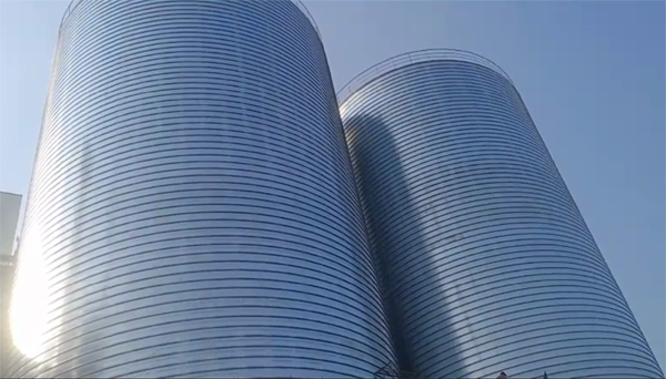 吊罗山乡2座混凝土高架卷板仓